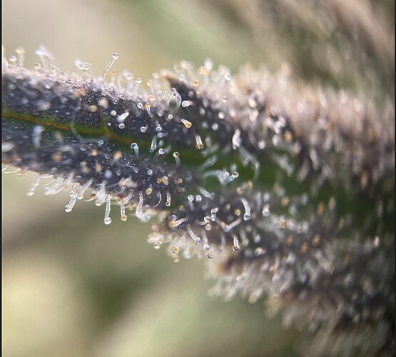 Growreport Bild 8