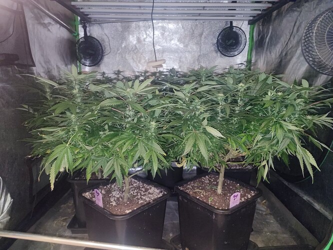 Growreport Bild 24