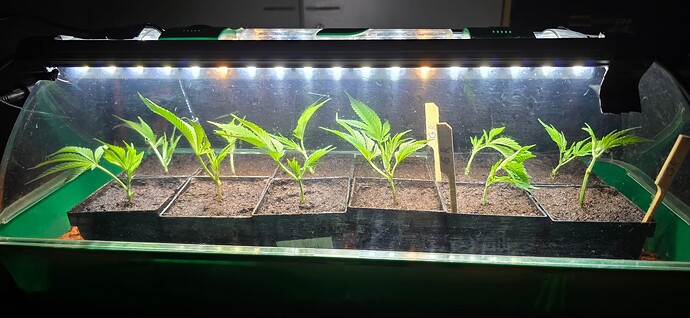 Growreport Bild 14