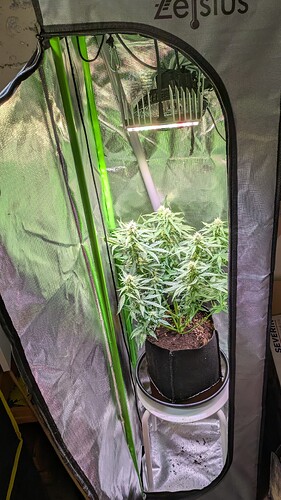 Growreport Bild 44