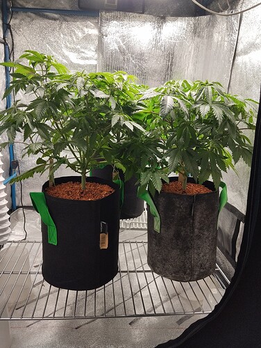 Growreport Bild 16
