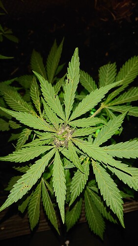 Growreport Bild 18