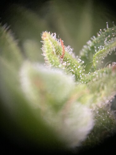 Growreport Bild 26