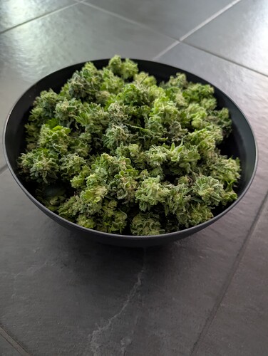 Growreport Bild 2