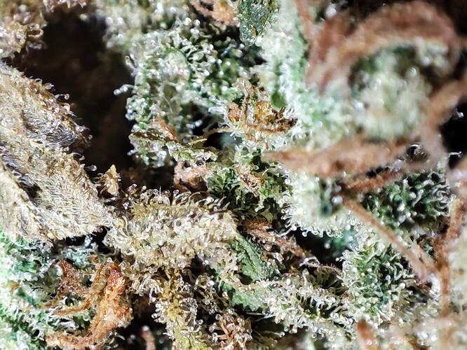Growreport Bild 21