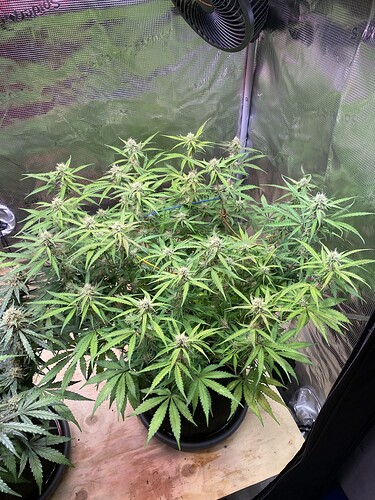 Growreport Bild 12