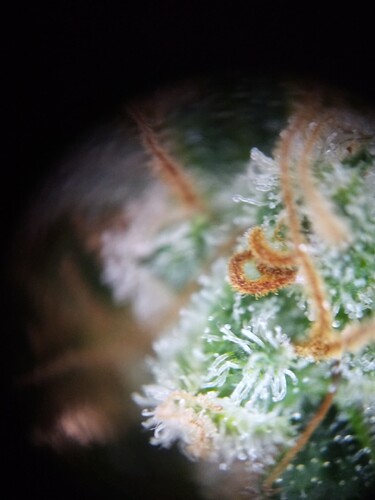 Growreport Bild 10
