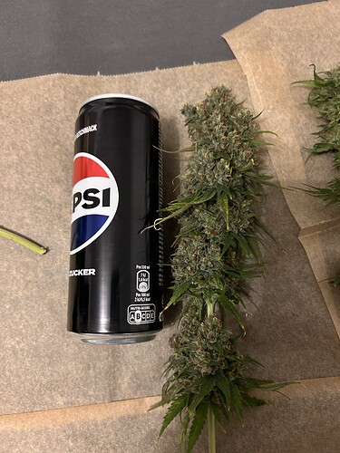 Growreport Bild 2
