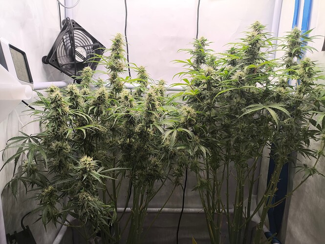 Growreport Bild 12