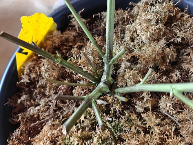 Growreport Bild 5