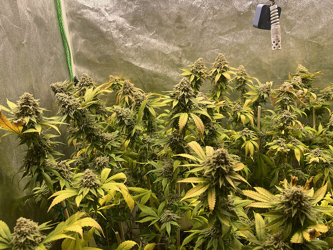 Growreport Bild 10