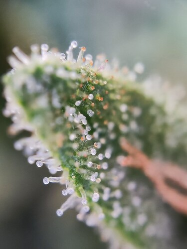 Growreport Bild 12