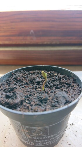 DSC_0001_BURST20240607153003318