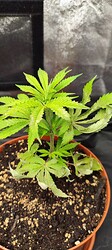 Growreport Bild 11