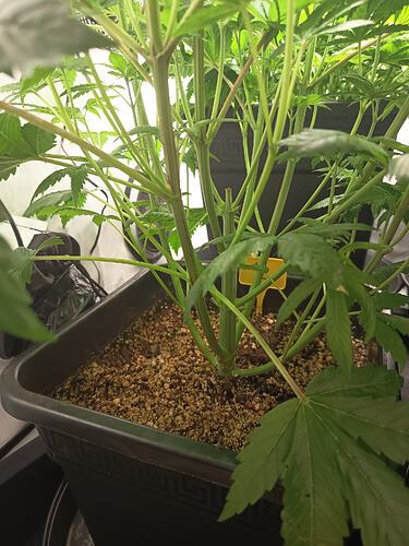 Growreport Bild 4