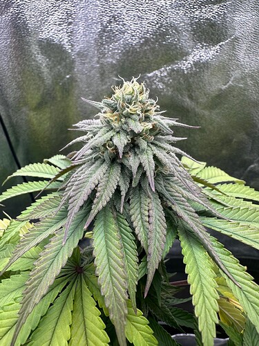 Growreport Bild 11