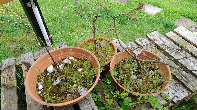 Growreport Bild 23