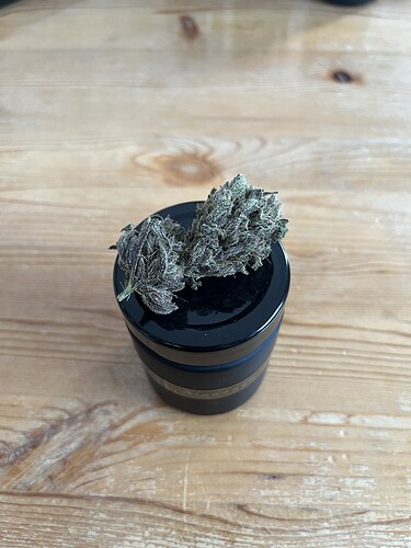 Growreport Bild 3