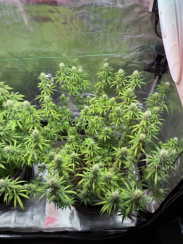 Growreport Bild 14