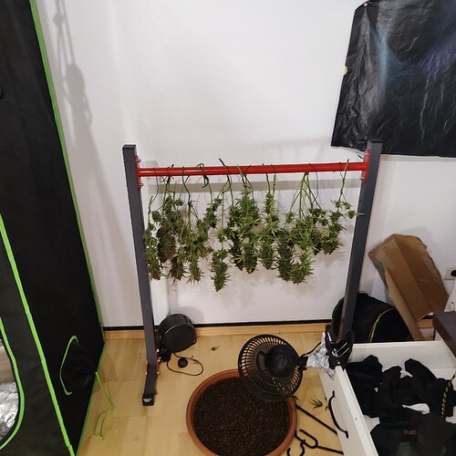 Growreport Bild 13