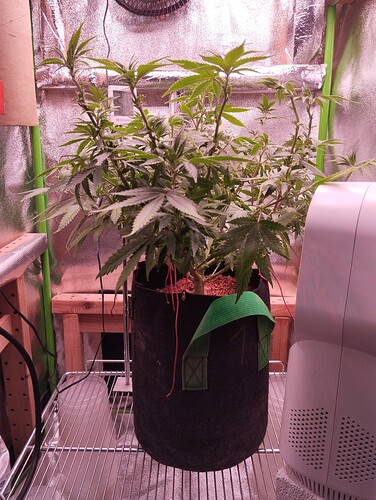 Growreport Bild 10
