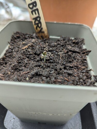 PXL_20240703_201210658.RAW-01.COVER