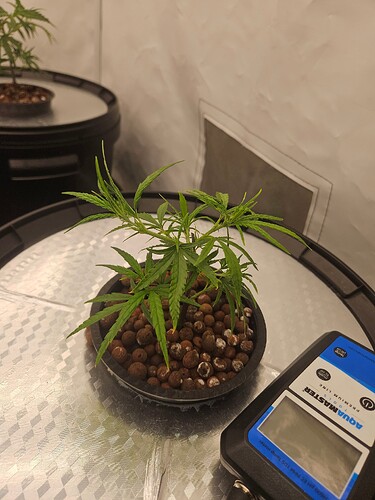 Growreport Bild 36