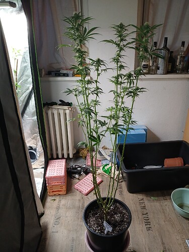 Growreport Bild 21