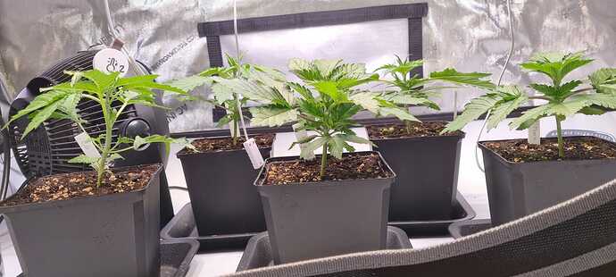 WhatsApp Image 2024-11-10 at 22.06.25