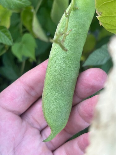 Growreport Bild 104