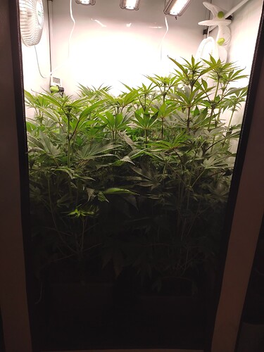 Growreport Bild 22
