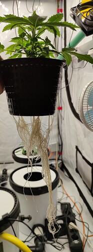 IMG_20240823_173121