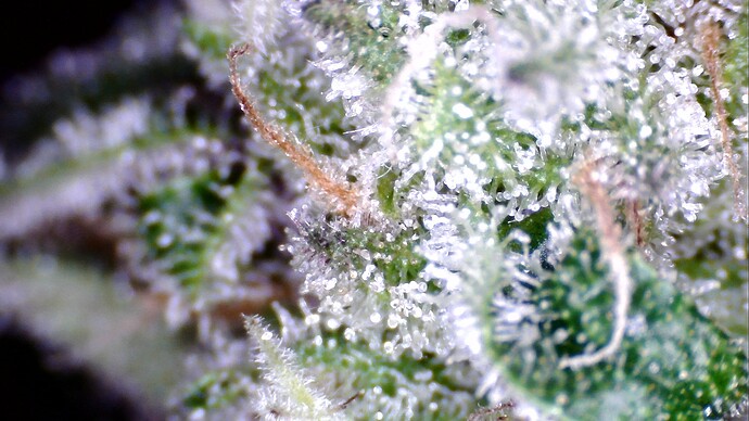 WIN_20241101_08_53_00_Pro