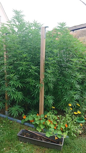 Growreport Bild 10