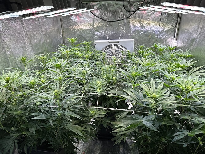 Growreport Bild 14