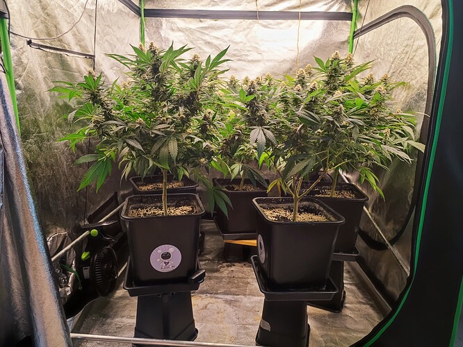 Growreport Bild 12