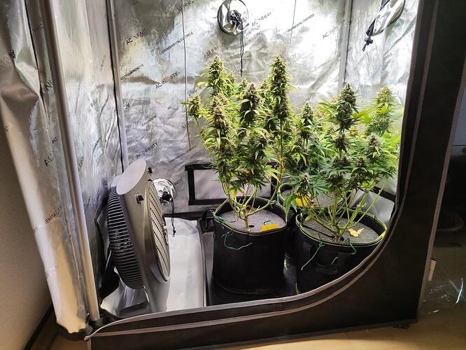 Growreport Bild 1