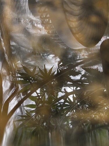 Growreport Bild 14