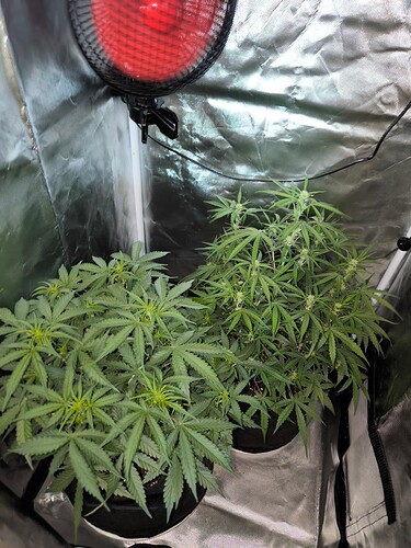 Growreport Bild 21