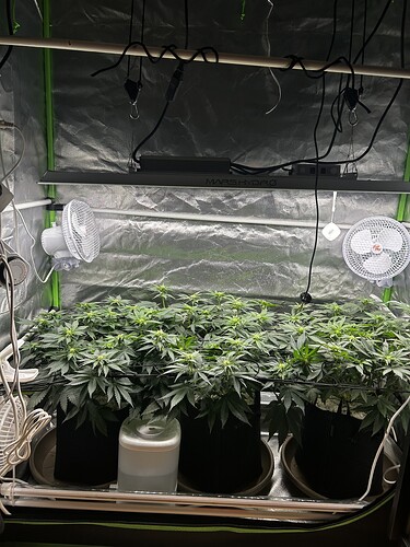 Growreport Bild 20