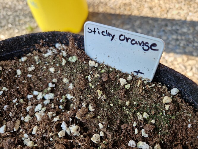 Growreport Bild 23