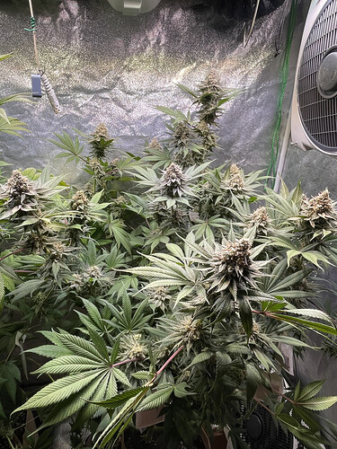 Growreport Bild 12