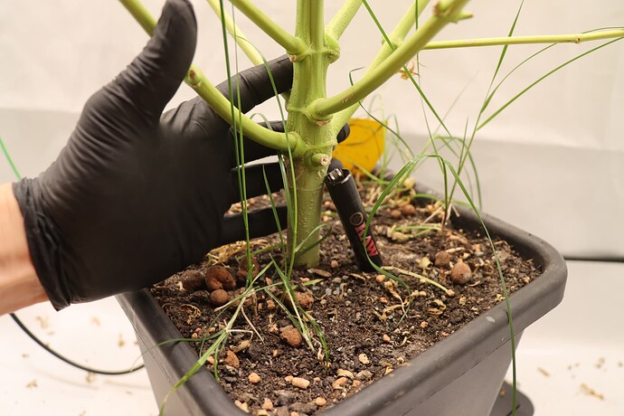 Growreport Bild 4