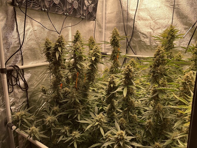 Growreport Bild 2
