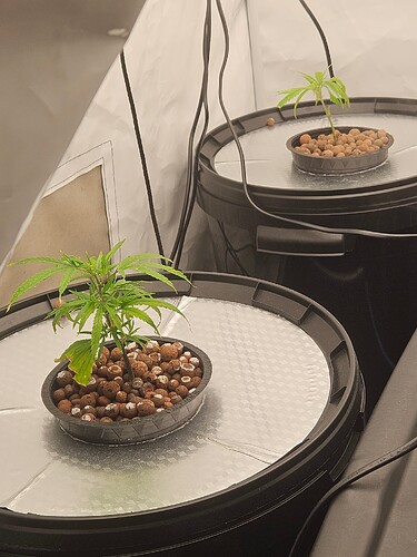 Growreport Bild 8