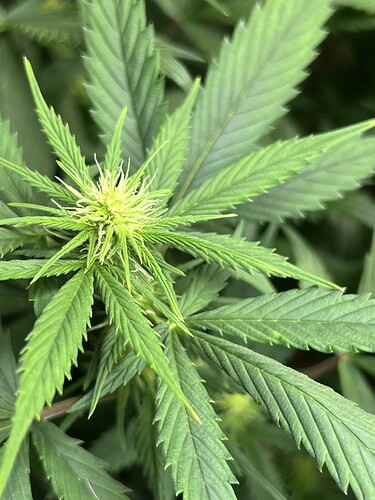 Growreport Bild 12