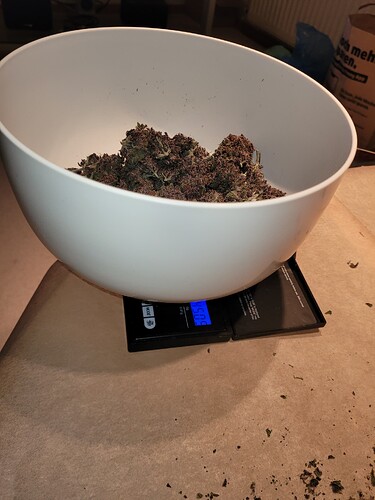 Growreport Bild 8