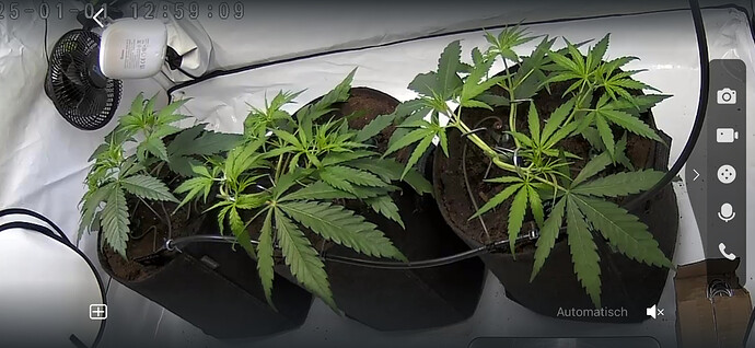 Growreport Bild 1