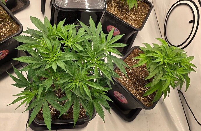 Growreport Bild 22