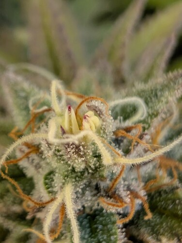 Growreport Bild 15